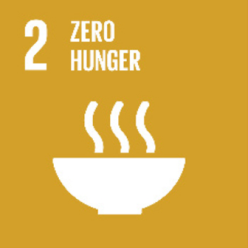 UEMF SDG2 report 2021